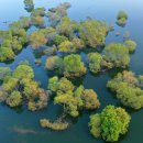 유치면 행정복지센터 이미지