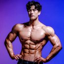 하디핏 이미지