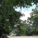 맛나펜션민박 이미지