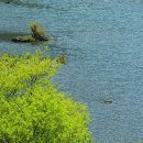 앞섬마을 이미지