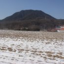 지박사막국수(무실점) 이미지