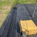 성목목장 이미지