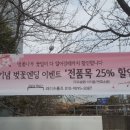 라이츠홀츠