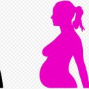 위즈미여성의원 이미지