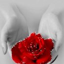 1990년대 어디에도 없는 추억의 인기 플리 106곡 장르 혼합 이미지