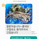 대황기 자색돼지감자 이미지