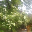 평화민박 이미지