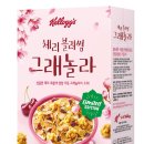 체리블러썸 이미지