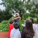 목포백련초등학교 이미지