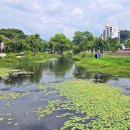 색동