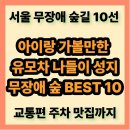 국립서울현충원 YTL화장실 | 아이랑 가볼만한 곳, 유모차 나들이 걱정 없는 서울 무장애 숲길 BEST 10 (거리/시간/주차 완벽정리)