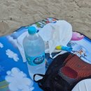 진하막썰어횟집 이미지