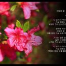 설천 기곡 호롱불마을 이미지