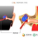 웰키즈소아청소년과의원 이미지