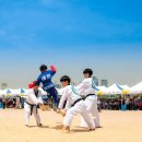 용인대박사태권도 이미지