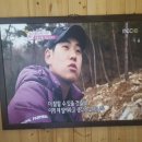 영산로 288 네이버블로그