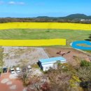 연옥농장 이미지