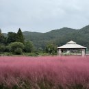 내북초 이식분교 이미지