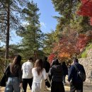 낭만맥주 - 중랑구 용마산로 405 | 낭만맥주