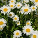 Body Master Gym 이미지