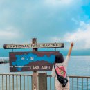 세븐일레븐 도봉지민점 | 하코네 해적선 오와쿠다니 로프웨이 쿠로다마 온천계란 여행코스