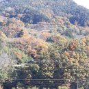 금계슈퍼민박 이미지