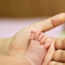 행정용 24 이미지