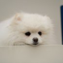 멋을채움 피트니스 이미지