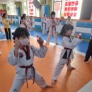 신명태권도장 이미지