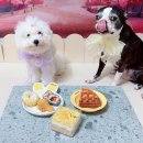 와와네 수제간식 이미지