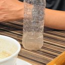 태국식당(THAI RESTAURANT) | 팡팡 나온 플라야 델 카르멘 태국 음식점 방문 후기 'Esquina thai restaurant' / 라멘 맛집 'SAKURA...