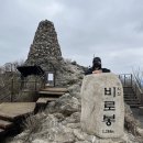 원주진장어 이미지