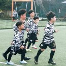 우정태권도 | 양산동본촌동양지초본촌초양산초태권도줄넘기축구피구스포츠