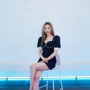선미통돼지시지 이미지