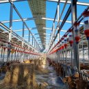 현재축산 이미지