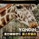 용일어린이공원 | 에버랜드 로스트밸리 사파리 평일후기 명당 위치 자리 시간 큐패스