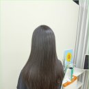 이음붙임머리 - 세종특별자치시 한누리대로 321 | 이음붙임머리