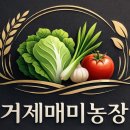매미농장 이미지