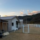 옆집강아지 | [성주 애견 동반 펜션] - 푸르댕댕 / 대구 근교 강아지 독채 숙소 솔직후기