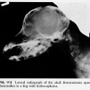 한빛종합동물병원 이미지