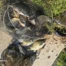 오목낚시터(신창낚시터) 이미지