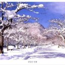 국내당일 기차여행추천지- 雪景..내장산 눈꽃과 산외 한우마을 (당일여행) 이미지