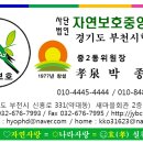 중2동-25 Daum카페