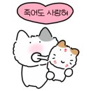 원조삼대충무할매김밥