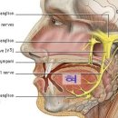 턱사랑혀사랑구강내과치과의원 네이버블로그