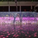 라파우자 이미지