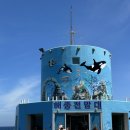 도방4천 네이버블로그