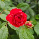 삼계한라공인중개사사무소 이미지