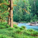 장고행정사 이미지