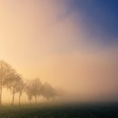 일신장의 이미지